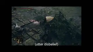 Elden Ring (my luckiest shield Parries ever!!)