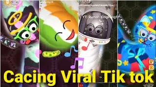 CACING VIRAL TIK TOK Wormate.io | Kumpulan Jebakan Cacing Besar Tik tok