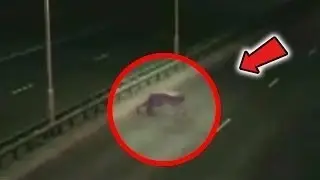 8 СТРАШНЫХ МОМЕНТОВ  И СУЩЕСТВ СНЯТЫХ НА КАМЕРУ