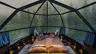 Sound of Falling Rain and Sleep In The Cozy Room Ambience in Amazon Rainforest .