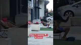 Будте аккуратнее с алкоголем в жару!