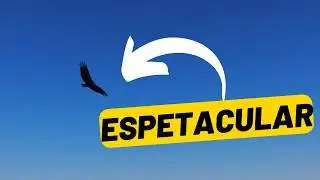 Aventura de drone na roça: emocionante!