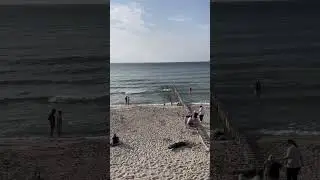 НАШИ ДНИ ЗЕЛЕНОГРАДСК 🤪 