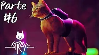 Stray (Parte #6) 