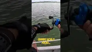 pescaria de corvinas no rio grande, muitas corvinas! #pesca #tralhadepesca  #natureza #nautica