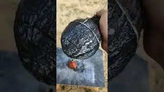 diwali anar vs coconut experiment | diwali crackers experiment 