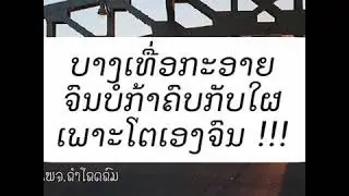 เสือลาย