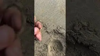Металлоискатели в Казахстане, Алматы.