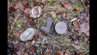 Гильза 1918 года окопное творчество и другие интересные находки.