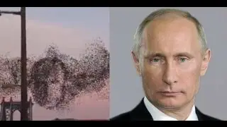 Лицо Путина в небе Нью Йорка