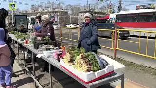 ХАБАРОВСК СЕГОДНЯ ПРЕКРАСНАЯ ПОГОДА