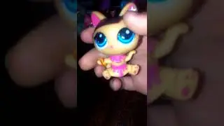 Моя коллекция ЛПС🐱🐭🐺🐶🐹🐰🐸