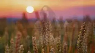 Sweeting The Light by John Trudell