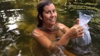 Releasing Fish Into My Mermaid Pool