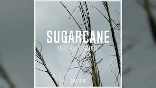 Blacktip & SΛBRE - Sugarcane (official audio) [Electro House]