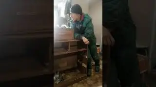кошка, украла сигарету)