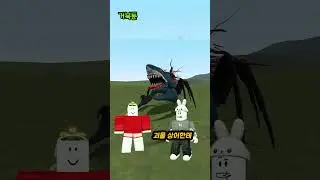 캥거루 기린 VS 상어