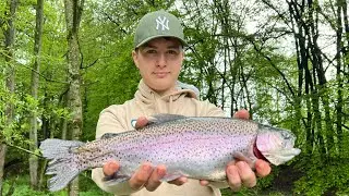 Insane Germany trout fishing 