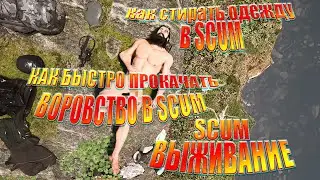 как быстро прокачать воровство в scum | как стирать одежду в scum | scum выживание