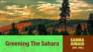 This is how the Niger People are Greening the Sahara!