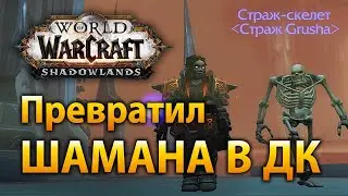Шаман в Торгасте: МЕГА тотемы и Смертельный сглаз | Shadowlands Alpha
