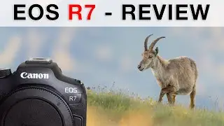 The perfect APS-C camera for bird photography? Canon EOS R7 (1-week Review)