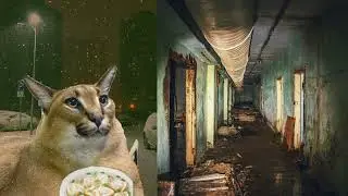 Твой подвал это: