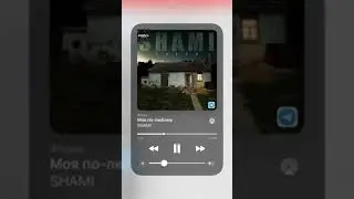 Shami - Моя по-любому