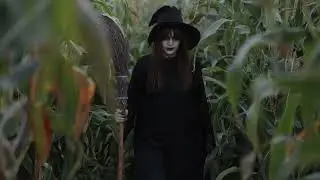 THE MYSTERIOUS SECRET OF WITCH ISLAND🧙‍♀️😲😱. #witch #island #mystery