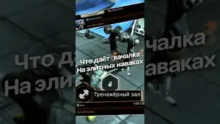 Что даёт ♂️Качалка♂️ на элитных навыках 