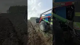 Дискатор БДФ