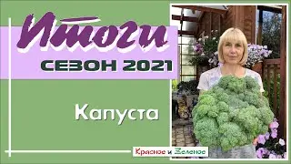 Капуста 2021. Все виды. 27 сортов. Итоги сезона
