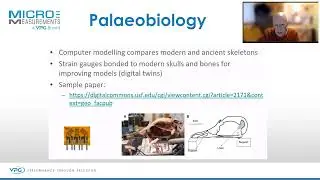 Strain Gauge Sensors in Palaeobiology.