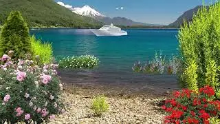 футаж море