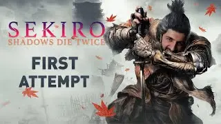 Sekiro: How Hard Can This Be?