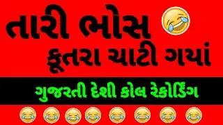 તારી કૂતરા ચાટી ગયાં  મહેસાણા નું કોલ રેકોર્ડિંગ || Gujarati call recording 2021 | ગુજરતી રેકોર્ડિંગ
