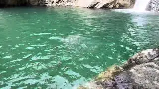 Rio cristalino