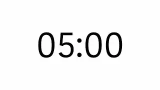 5 Minutes Countdown Timer 4K (no sound) - White