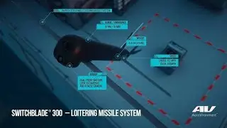 Kamikaze Drone SWITCHBLADE® 300 and Turkish ALPAGU Fixed-Wing Autonomous Tactical Attack UAV