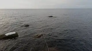 Mõned nipid algajatele!! 2 osa