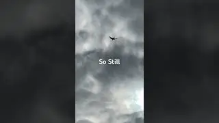 So Still