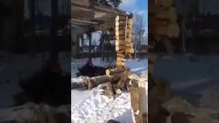 Как всегда, в россии