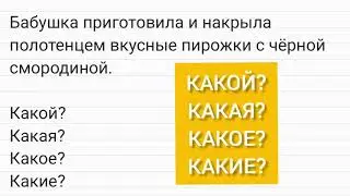 Words are answers to the questions: Which? Which? Which? Which?