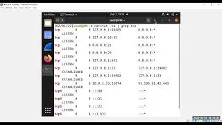 TCP Syn Flooding and TCP reset attacks with scapy and netwox