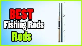 ✅ Best Fishing Rods ion 2023