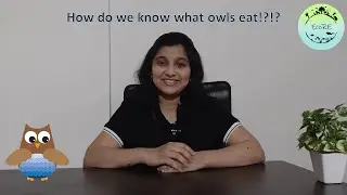 How do we know what owls eat!?
