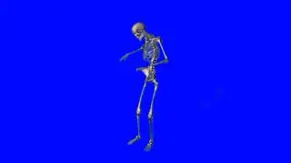 Green Screen Skeleton / Skeleton rises from Video♏