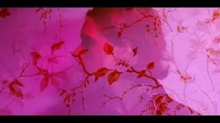 WoodShock- Memories Of Green