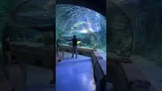 Under ocean