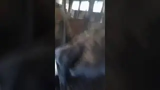 Обход хозяйства.